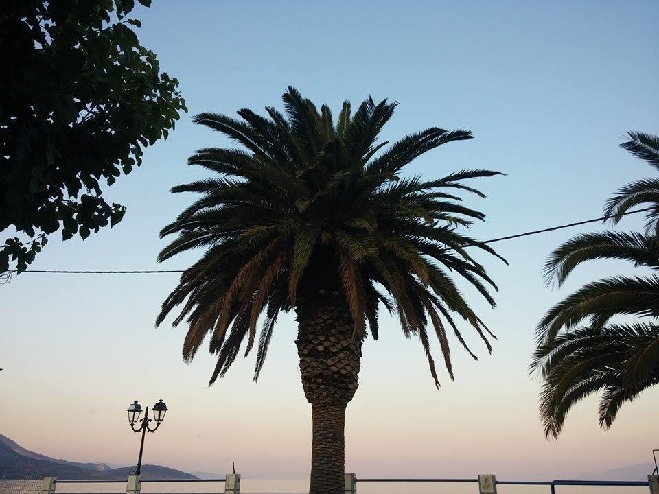 Holiday Tolofona Beach Erateini Exterior foto